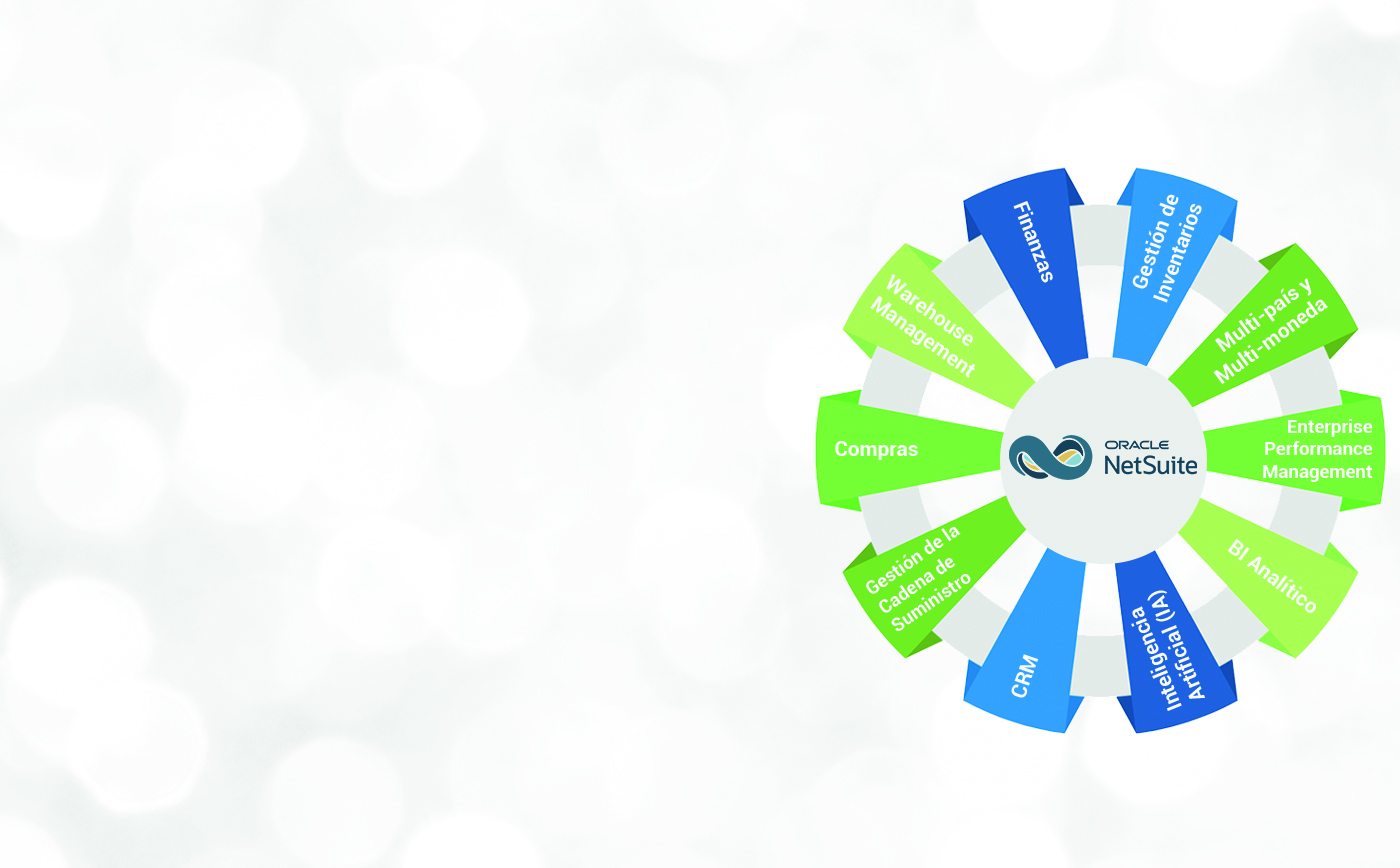 Inicio - Netsoft